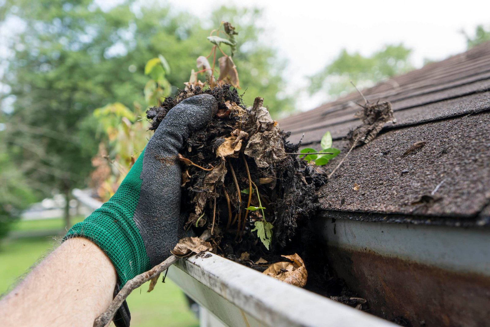 A professional from Handy Hive Pros wearing green gloves removes wet leaves, dirt, and debris from a clogged gutter. Regular gutter cleaning prevents water damage and improves drainage.