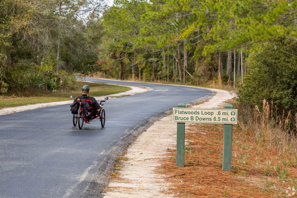 Flatwoods view of New Tampa, Florida – Handy Hive Pros offers expert handyman services, home repairs, and renovations in New Tampa and surrounding areas.